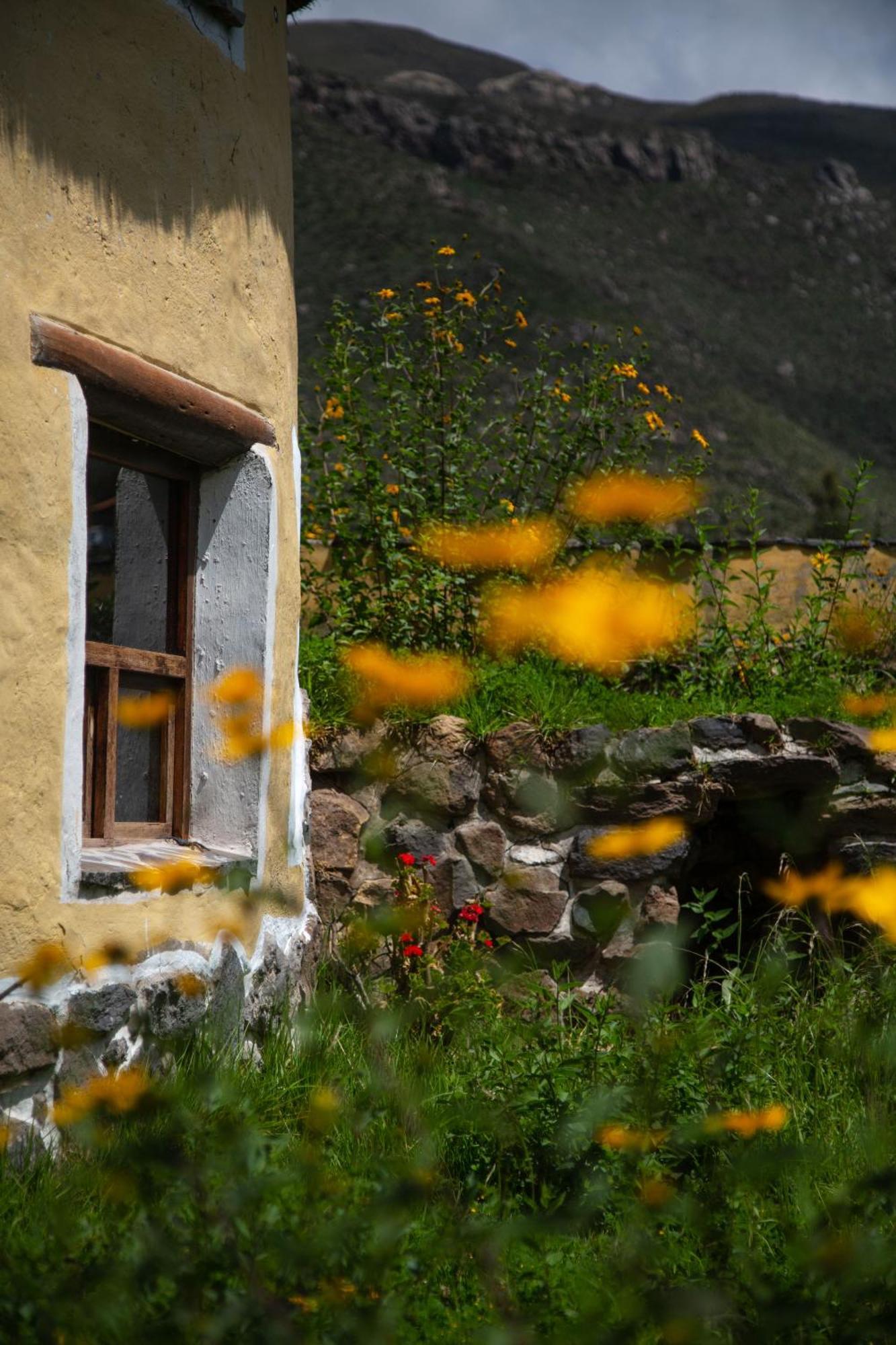Ayni Wasi Guest House Coporaque Exterior foto